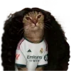 🇪🇸