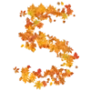 5️⃣