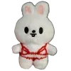 🐰