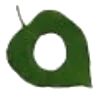 🔤