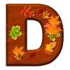 🍂