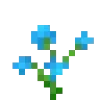 🌻