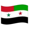 🇸🇾