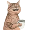 🐱