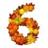 🍂