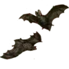 🦇