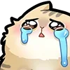 🥺