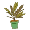 🌱