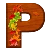 🍂