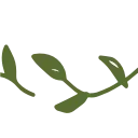 🌱