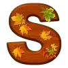 🍂
