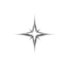 ⭐️