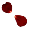 🌹