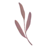 🌿