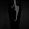 🕸️