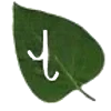 🔤