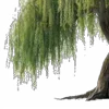 ⭐️