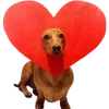 ❤️