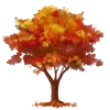 🍂