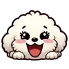 🐶