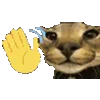 👋