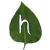 🔤