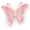 🦋