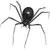 🕷️