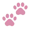 🐾