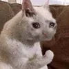 🥺