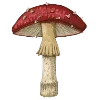 🍄