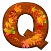 🍂