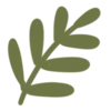 🌿