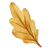 🍁