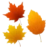 🍂