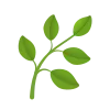 🌿