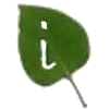 🔤