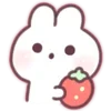 🍡