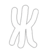 🩹