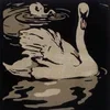 🦢