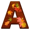 🍂