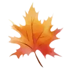 🍂