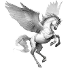 🐎
