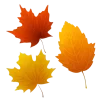 🍂