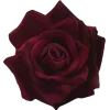 🌹