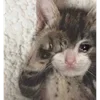 🥺