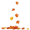 🍂
