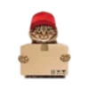 😼