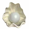 🐚