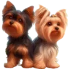 🐶
